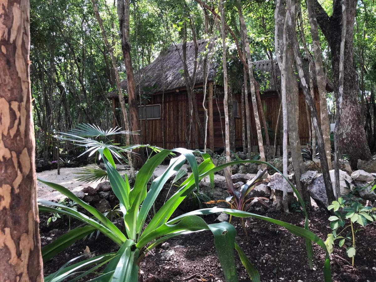 Bayou Tulum Exterior foto
